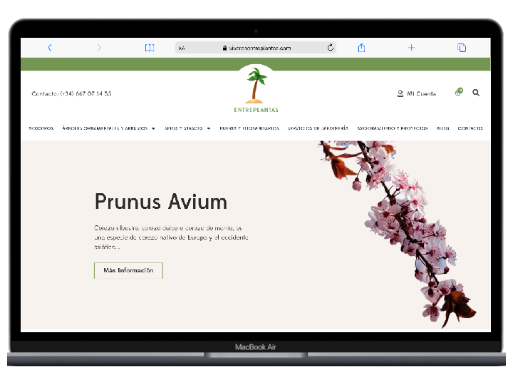 Viveros Entre Plantas